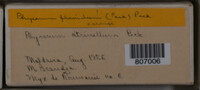Image Associated With the Occurence
